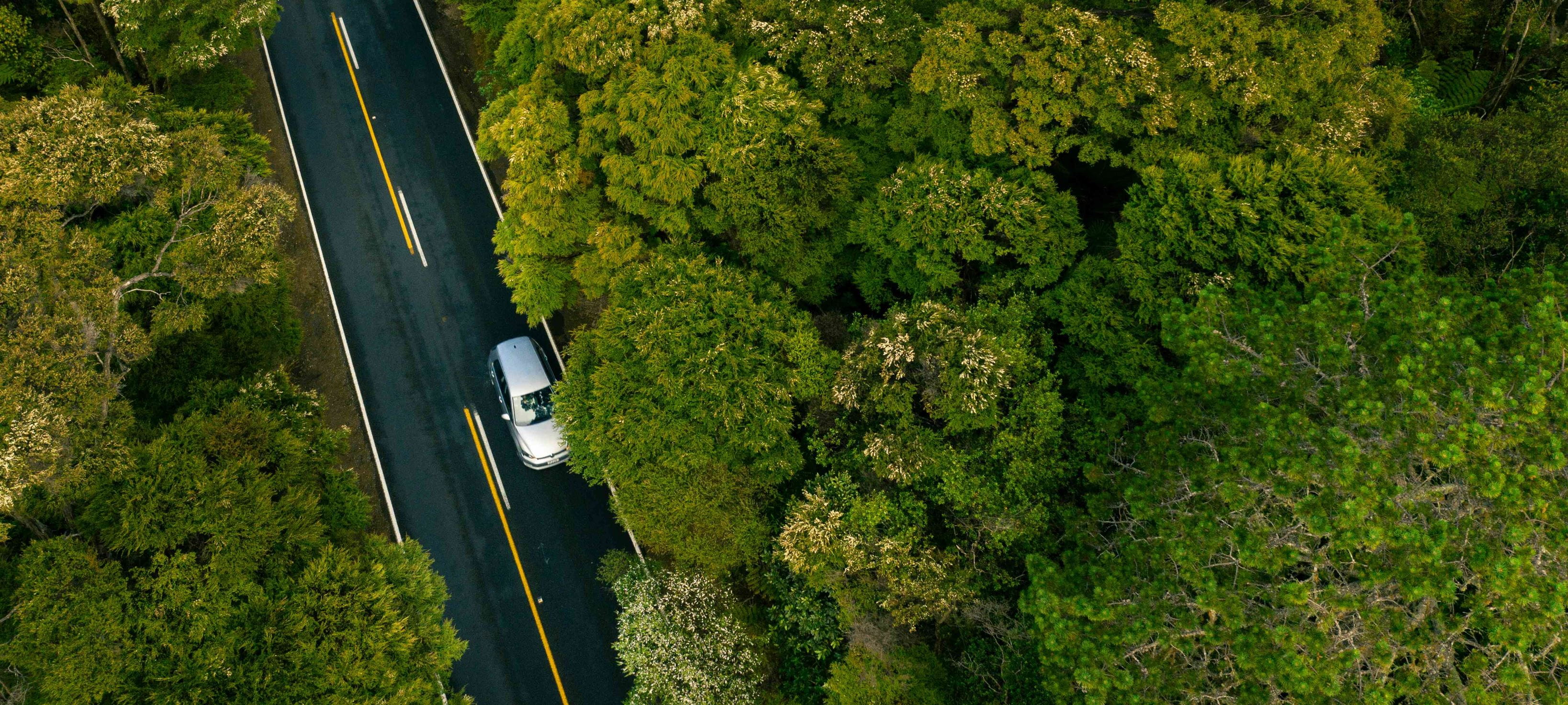 Aerial shot of a grey car on the road surrounded by green forest