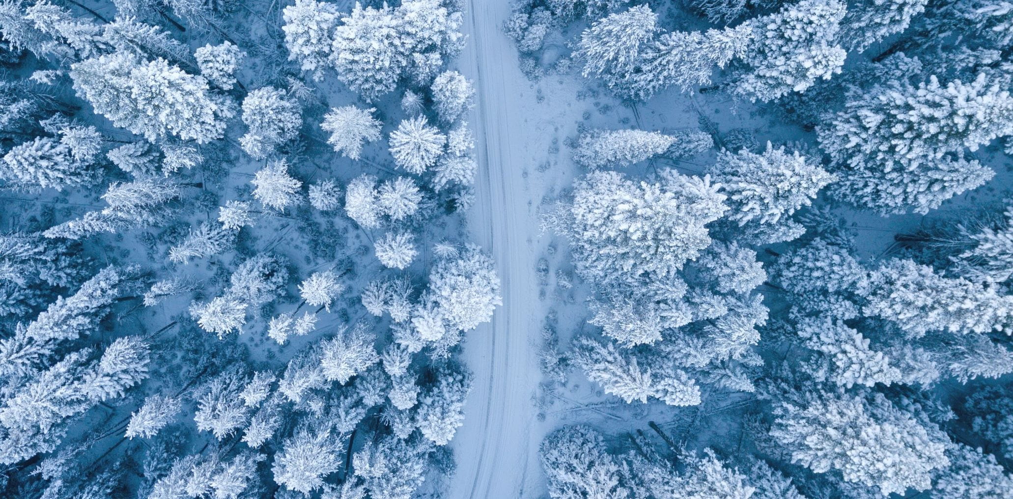 Website header large-ST_19_45