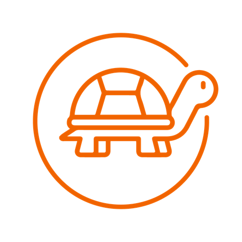 EV-icons-04-beperkt-vermogen