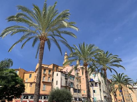 Menton