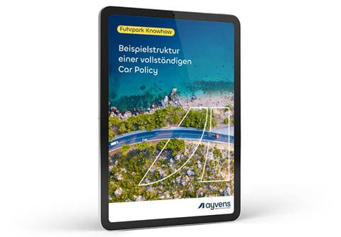 Ayvens_Hero_3_Beispielstruktur Car Policy