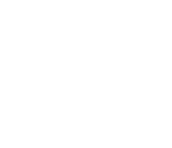 Ayv_icon_Warning_White