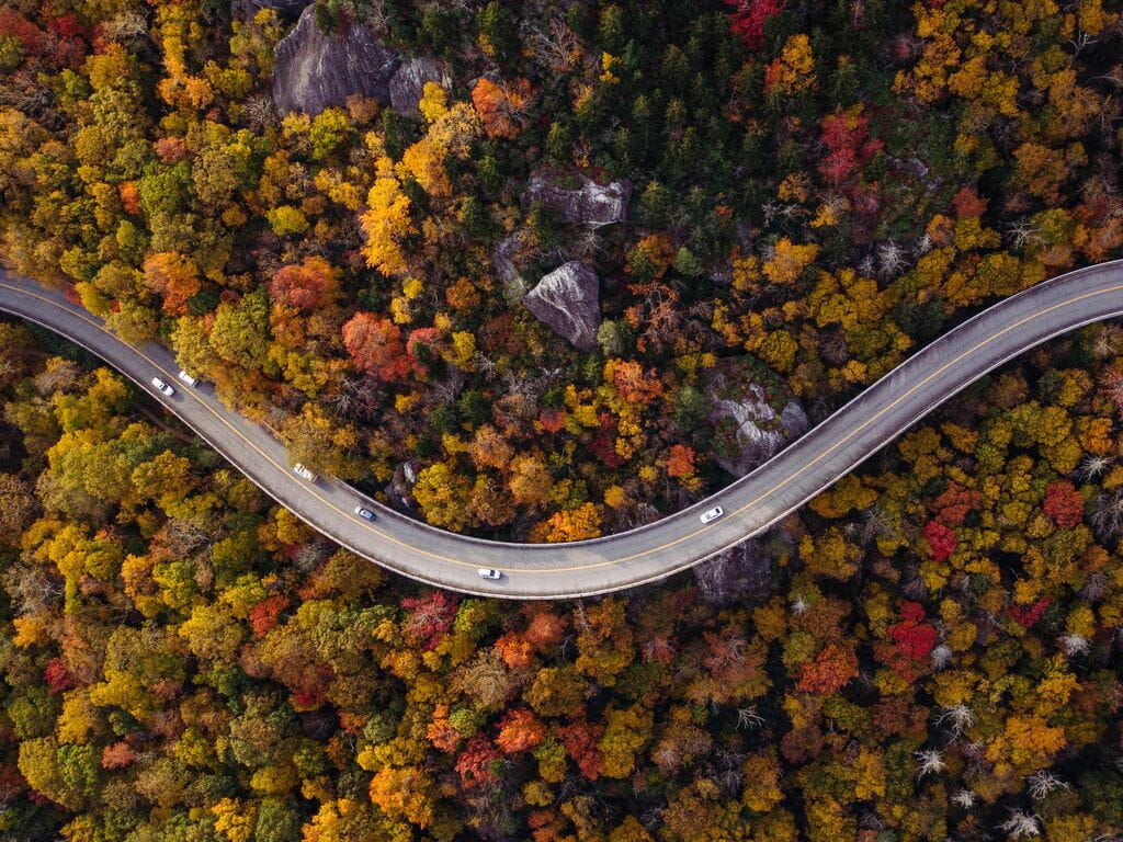 Carros numa estrada no meio de uma mata no Outono