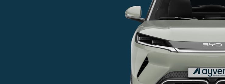 Poster  BYD ATTO 22x