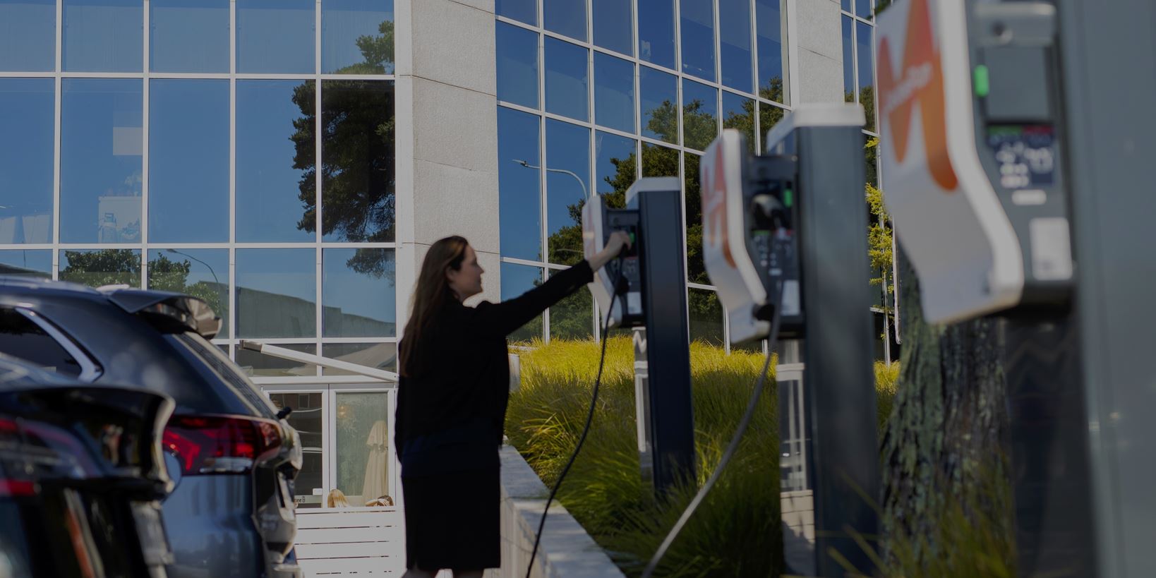 NZ_20_352_cropped_tinted