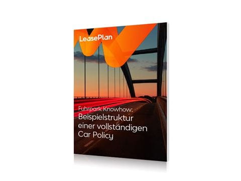 beispielstruktur-einer-vollstandigen-car-policy v2