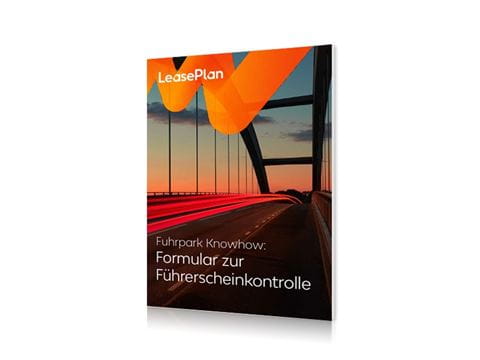 formular-fuehrerscheinkontrolle v2