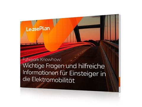 wichtige-fragen-e-mobilitaet v2