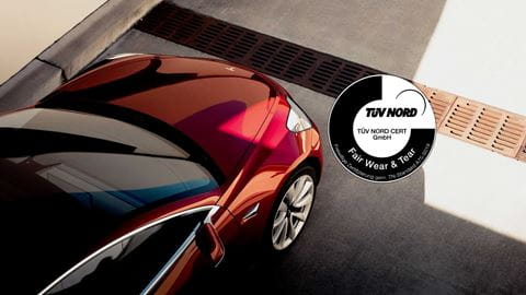 Tesla Bild mit TV Logo 1