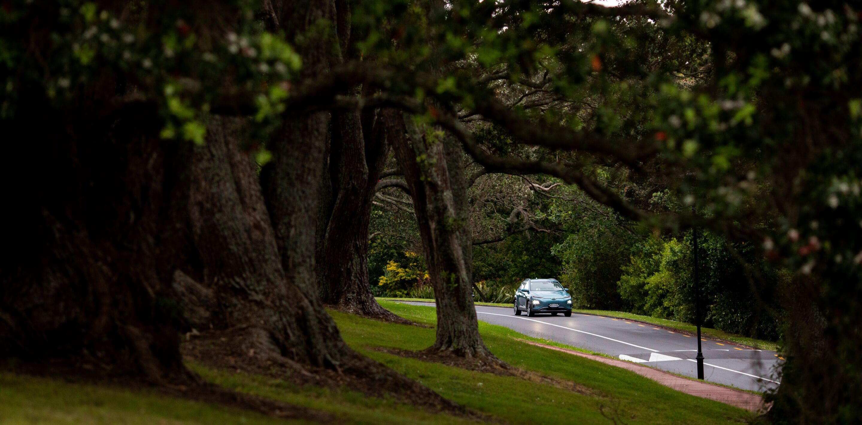 Website header large-NZ_20_56