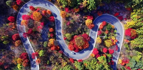 Website header large-ST_20_65