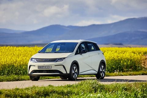 byd_dolphin_front grass