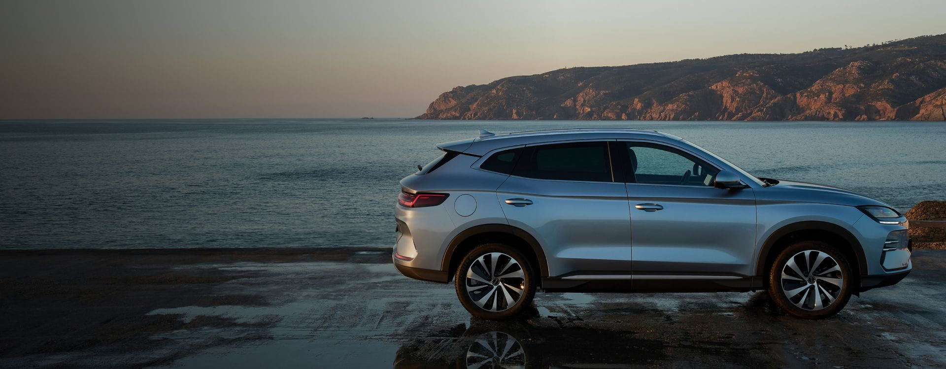 seal-u-video banner 2