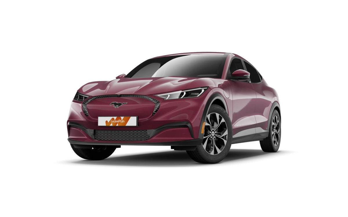 mustang red 2