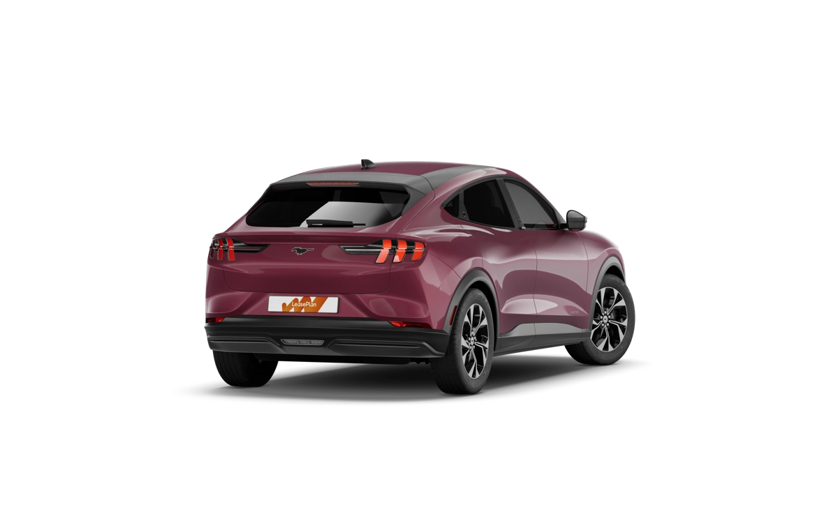 mustang red 3