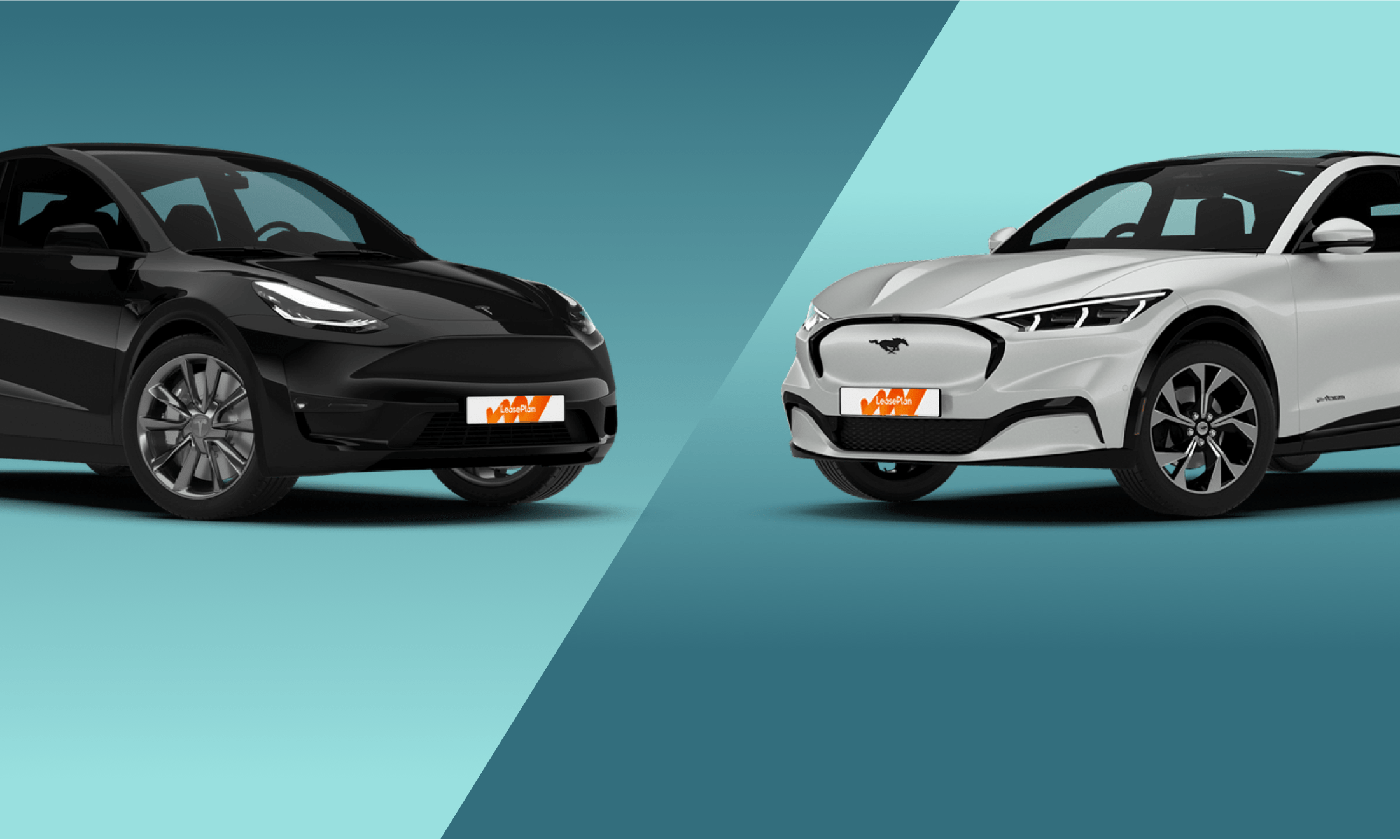 harpoen Ontkennen Kreet Compared: Tesla Model Y vs Ford Mustang Mach-e | LeasePlan