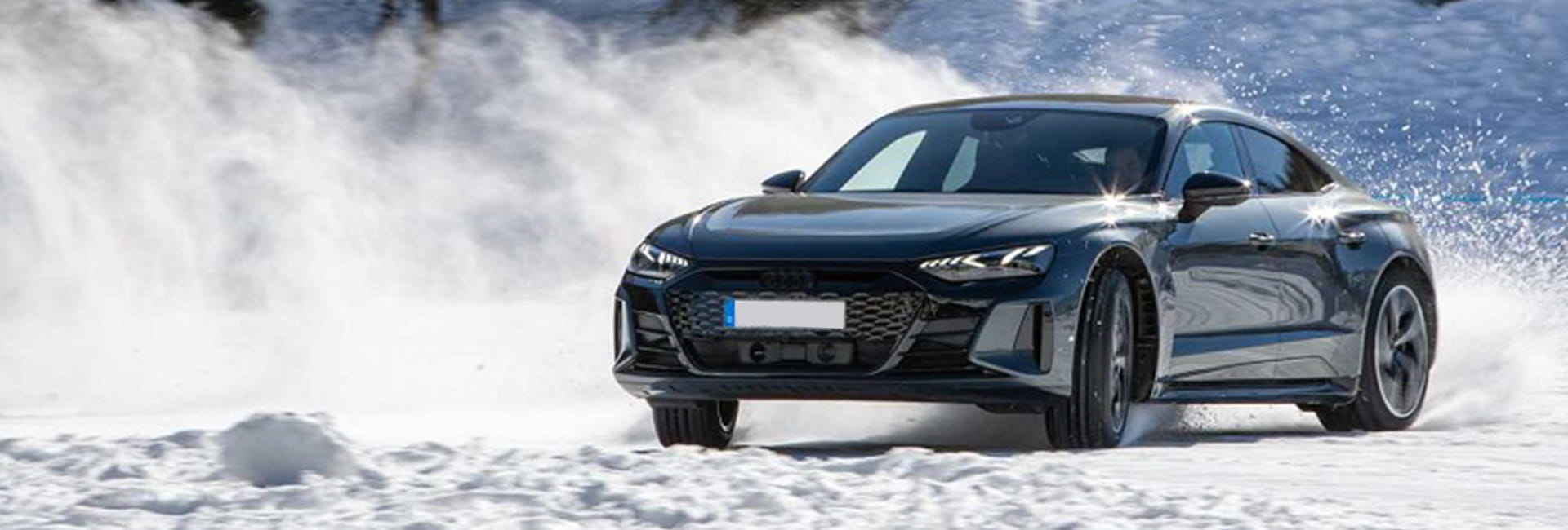 audi-ghedina-e-tron