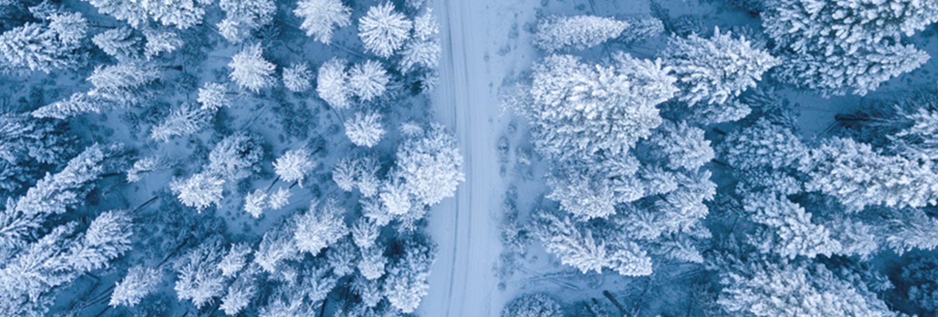 guida-sulla-neve