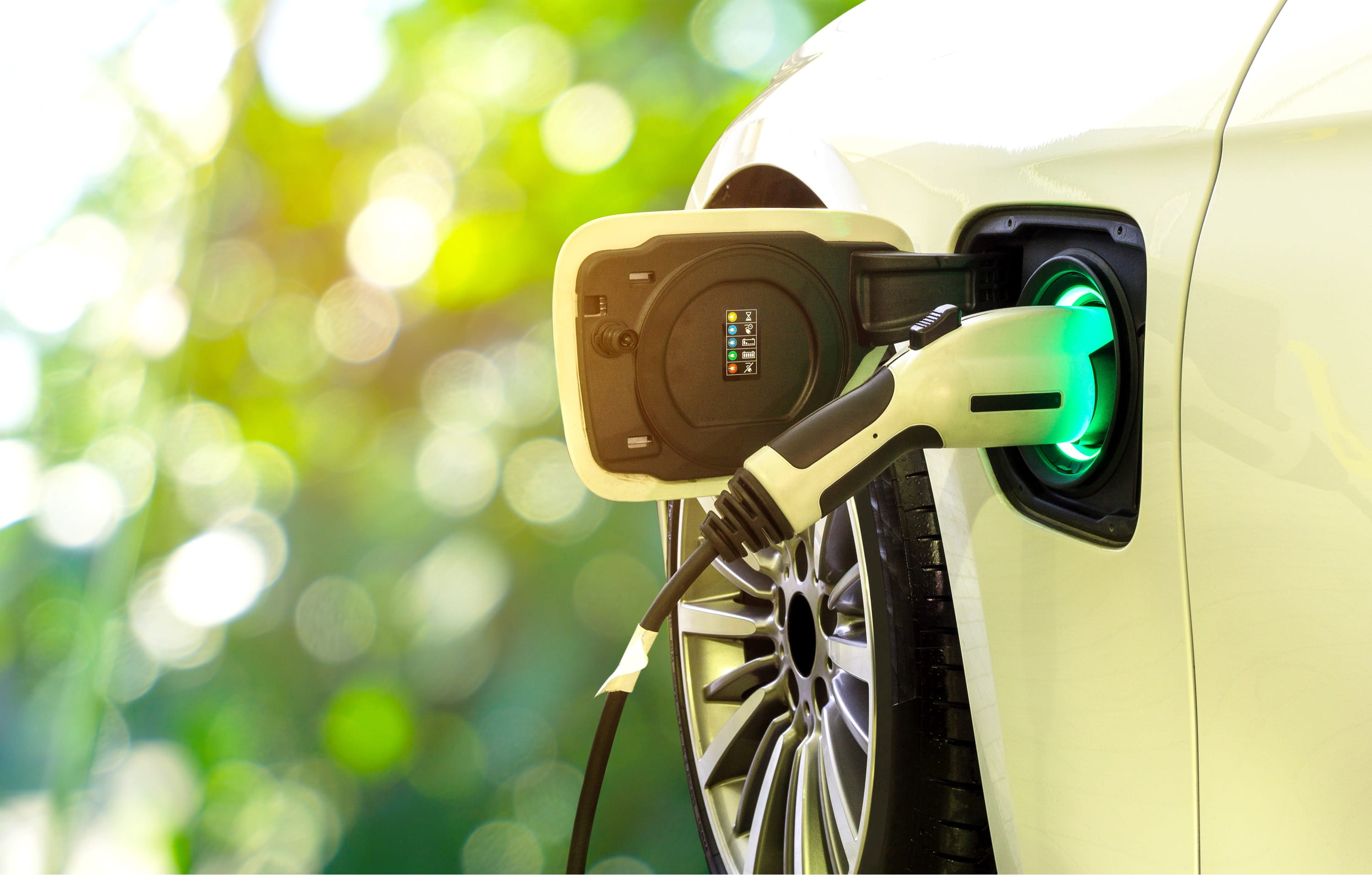 Green Bound EV