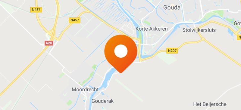 Gouda