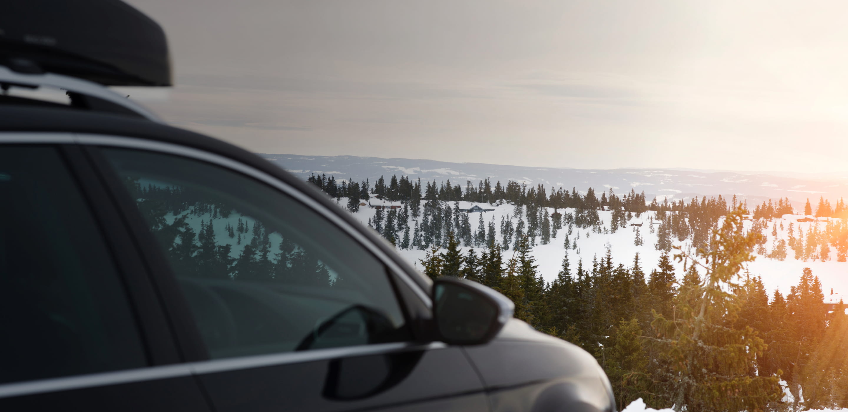 Car on a forest with snow