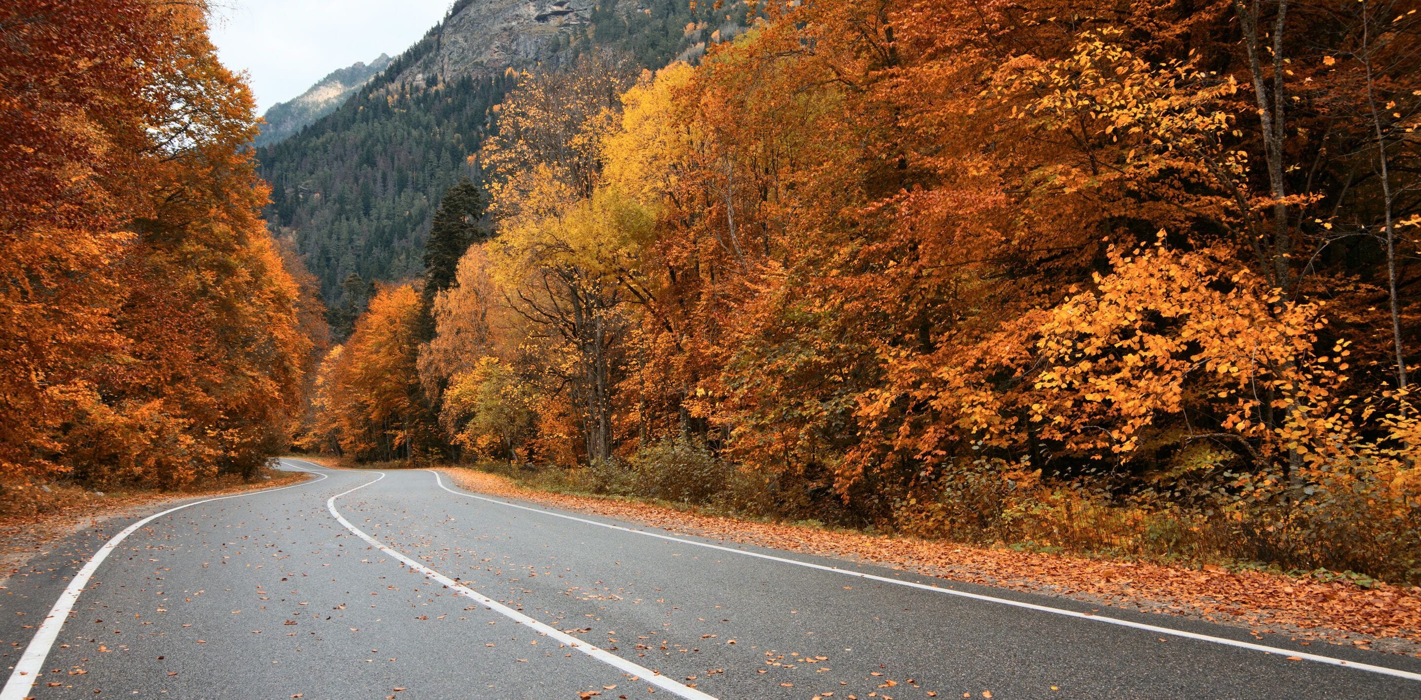 jesień droga wyjazd w góry