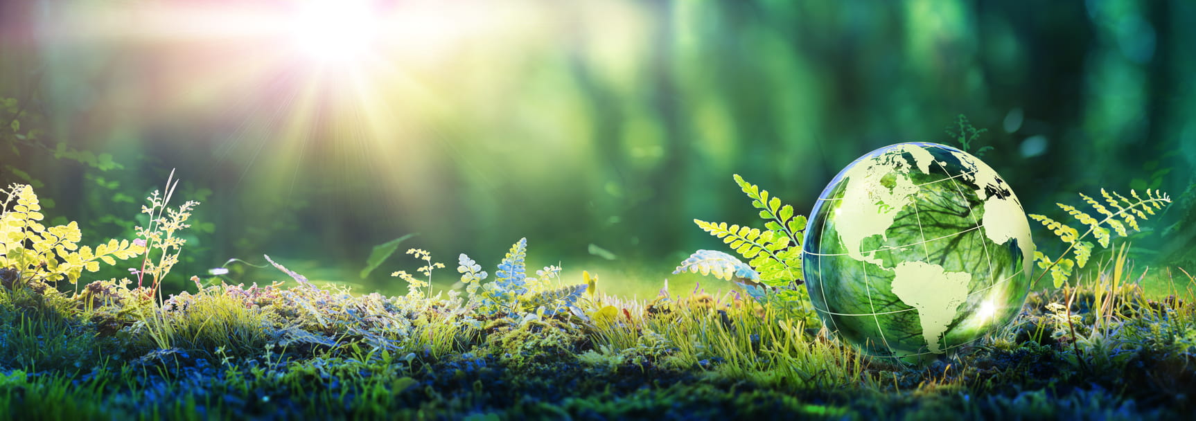 sustentabilidade