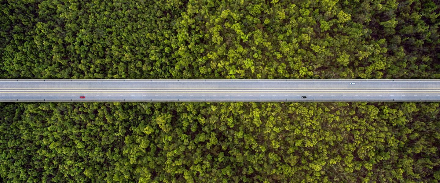 Green sustainability