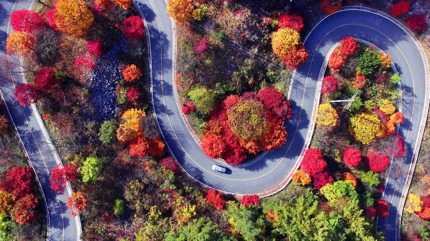 Return to the road