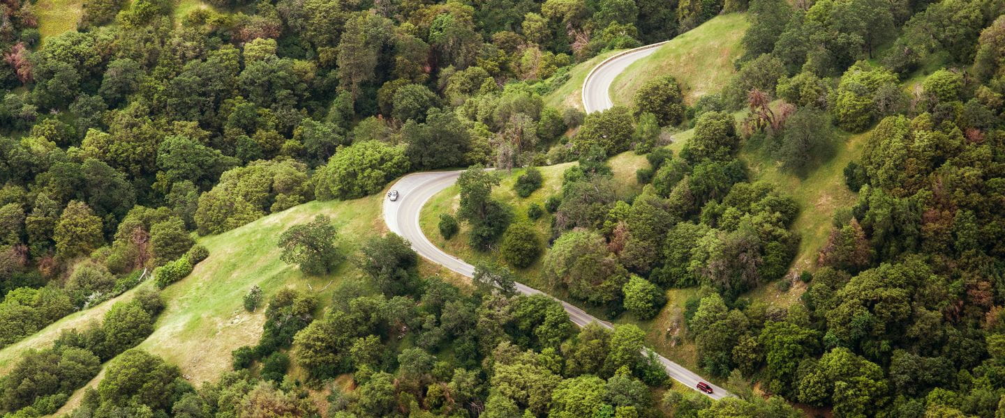 Roads nature