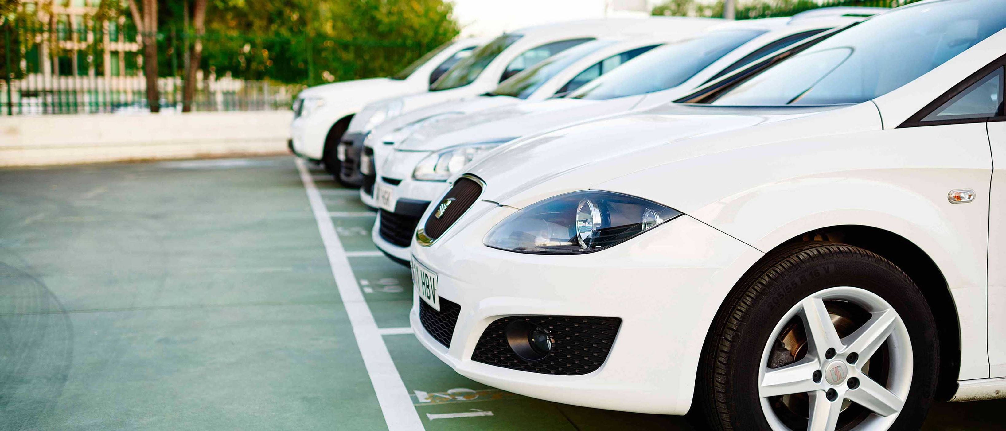 Fleet of Renault white cars parked