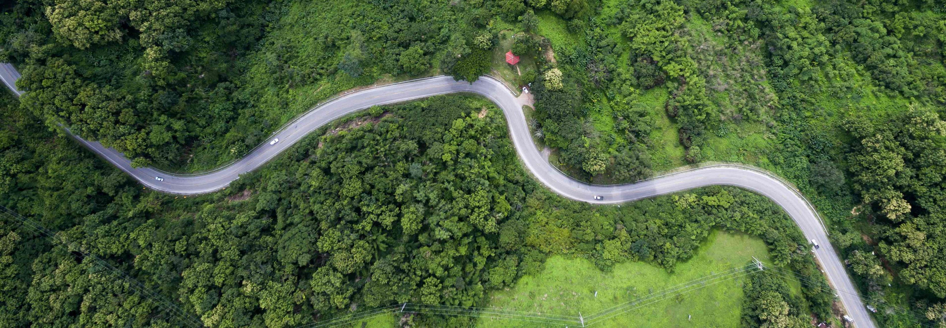 Aerial shot - road in trees