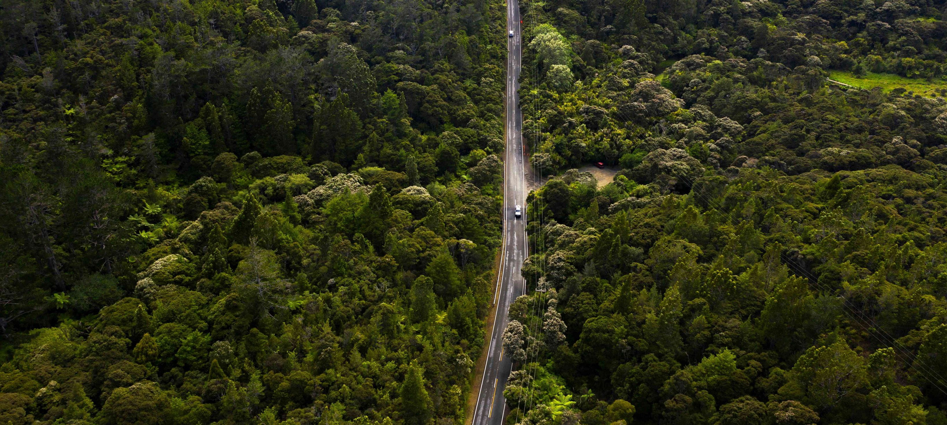 Aerial shot of a straight road passing through a forest
