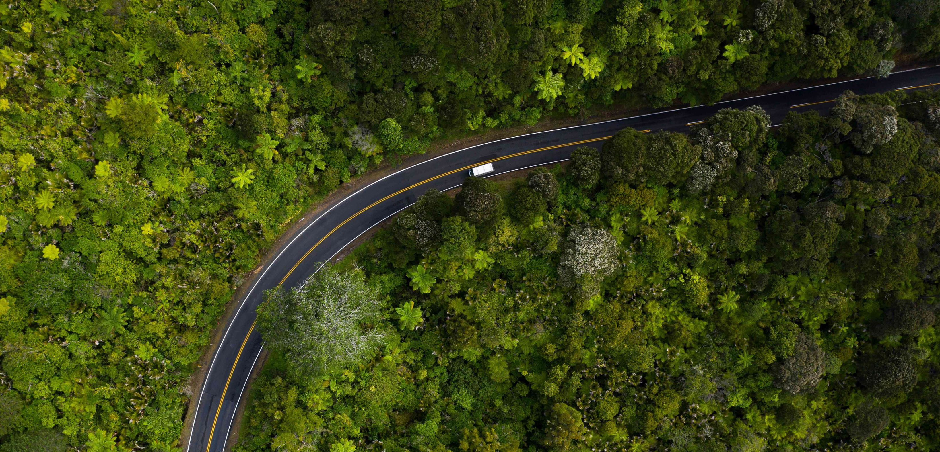 Aerial shot of a white car on the curvy road passing through a forest