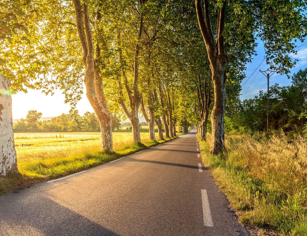 Empty street in countryside with sunlight