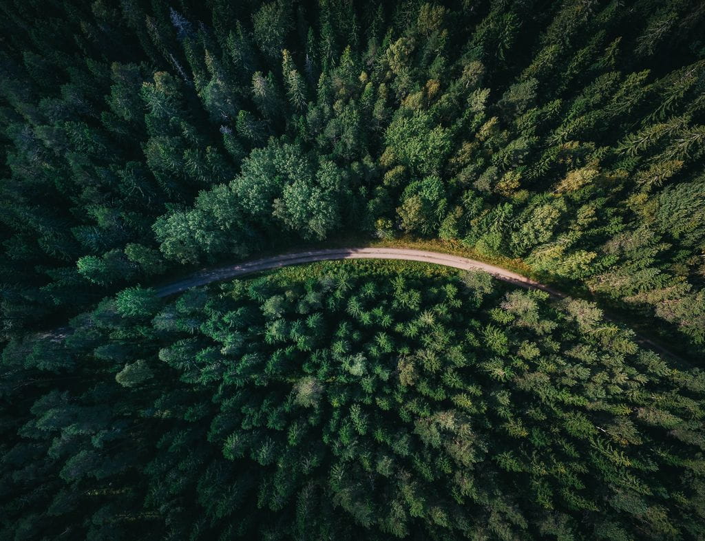 Wald