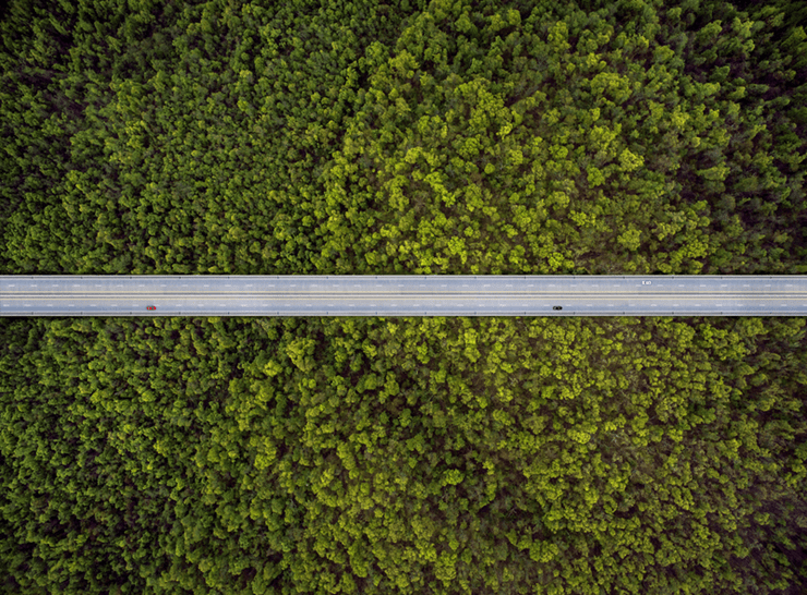 road forrest helicopterview