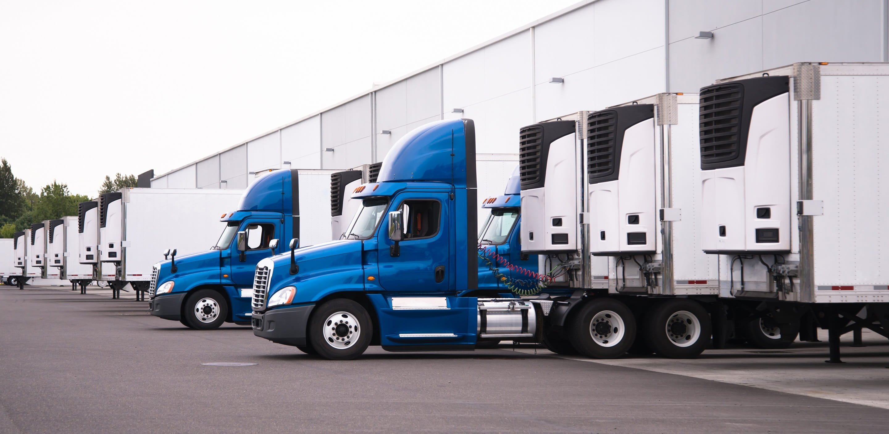cold chain logistics-transportation